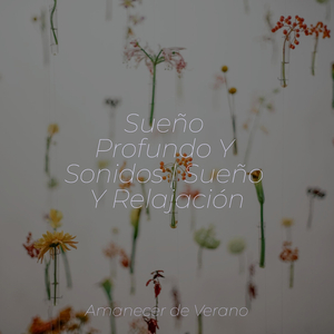 Tango de Melodías del Crepúsculo