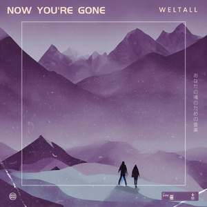 Now You're Gone