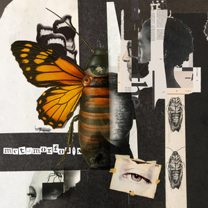 Metamorfosis