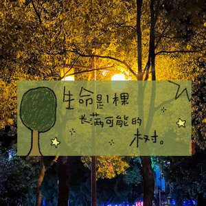 非要活成标准答案吗