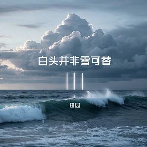 白头并非雪可替