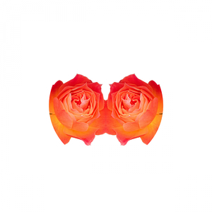 Bad Rocks (Original Mix)