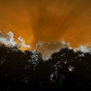 灯光（cover谢震廷）