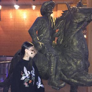 张佳豪没有电台 - 很短的歌