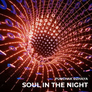 Soul in the Night