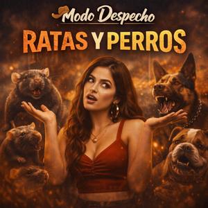 ratas y perros