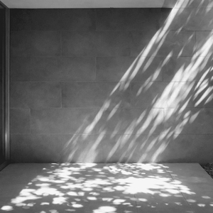Sunny Frame