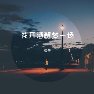 花开酒醒梦一场demo