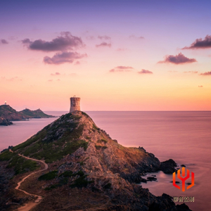 剪纸窗花（典雅小提琴）