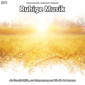 Ruhige Musik, Pt. 44