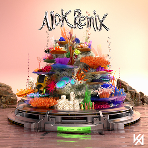 Without You (Alok Remix) (Extended Mix)