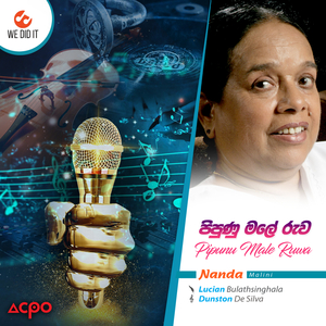 Pipunu Male Ruwa (Radio Version)