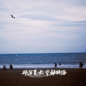 那年夏天 宁静的海