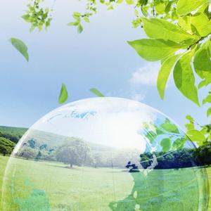 阿拉加斯加海湾