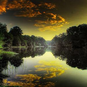 心跳（DJ热播版）