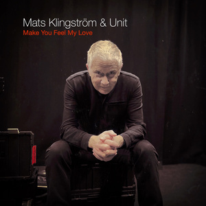 Make You Feel My Love