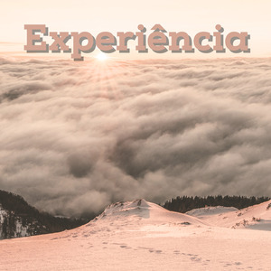 Experiência