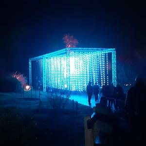 Turquoise Paedophile