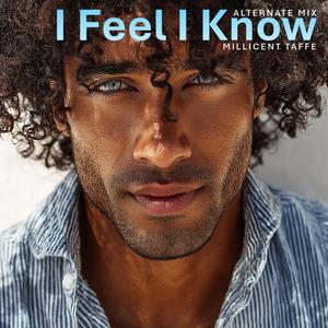 I Feel I Know (Remix)