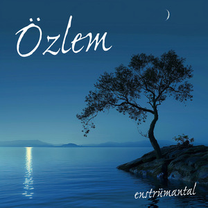 Özlem