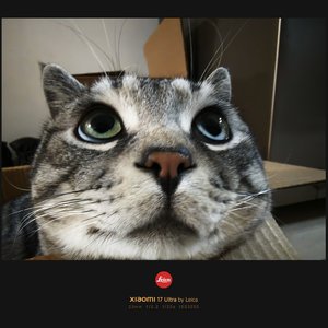 枕星而眠