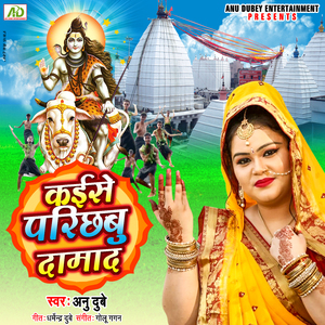 Kaise Parichbu Damad