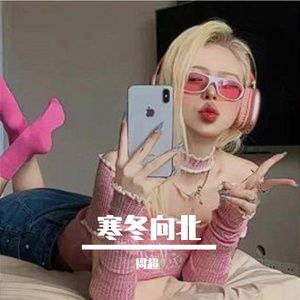 寒冬向北