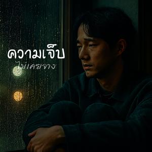 ความเจ็บไม่เคยจาง