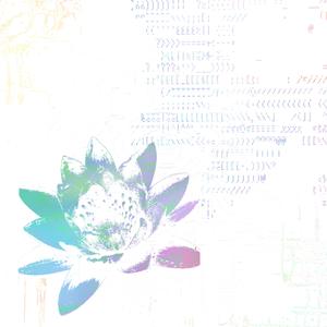 LOTO (feat. sciarcnado)