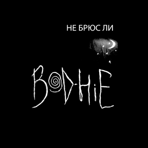 Не Брюс Ли