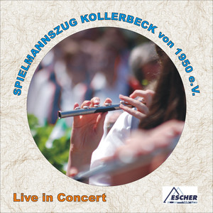 Ungarischer Tanz Nr 5 (live)