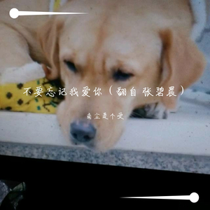 不要忘记我爱你