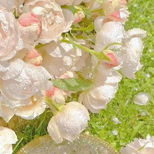 这城市欠我一场雪，而你欠我一句告别