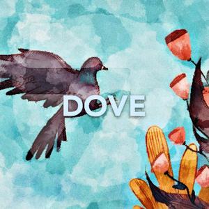 Dove
