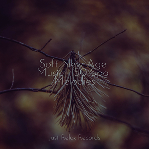 Glassbound Glimpses of Panthera