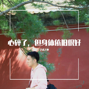 心碎了，但身体依旧很好（Prod.金桔0RANG3）