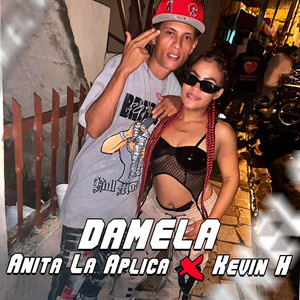 DAMELA