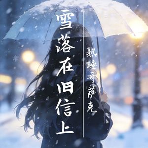 雪落在旧信上