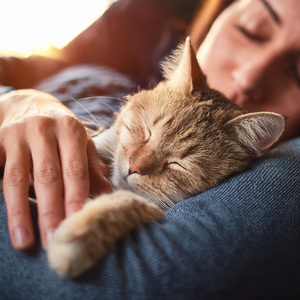 Melodías Relajadas Para Gatos