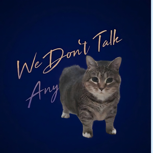 We Don't Talk Anymore Oiia