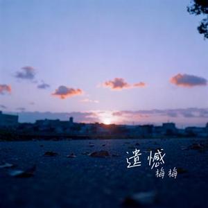 遗憾的过客 (Cover 洋澜一)