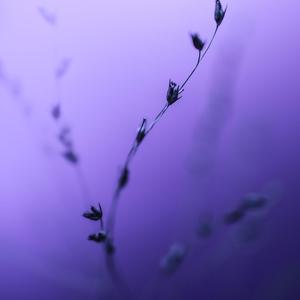 Feel
