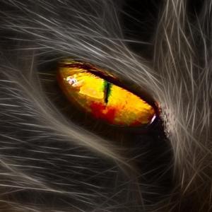 But I Love You I Dont Care