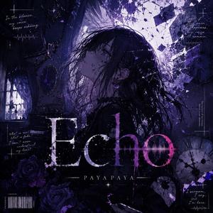 Echo