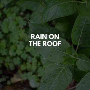 Rain for Stress
