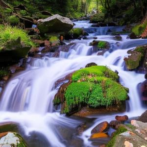 世界是个动物人