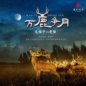 万鹿争月 (DJcandy慢摇版)