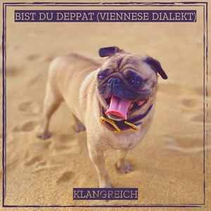 Bist Du Deppat (Viennese Dialekt)