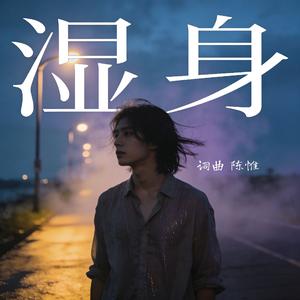 湿身（烟嗓版）