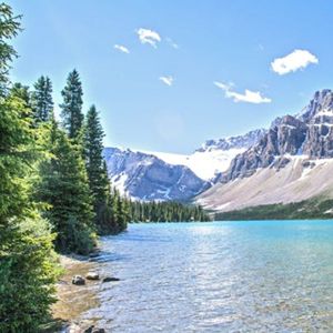 林籁泉韵（商铺背景音乐）